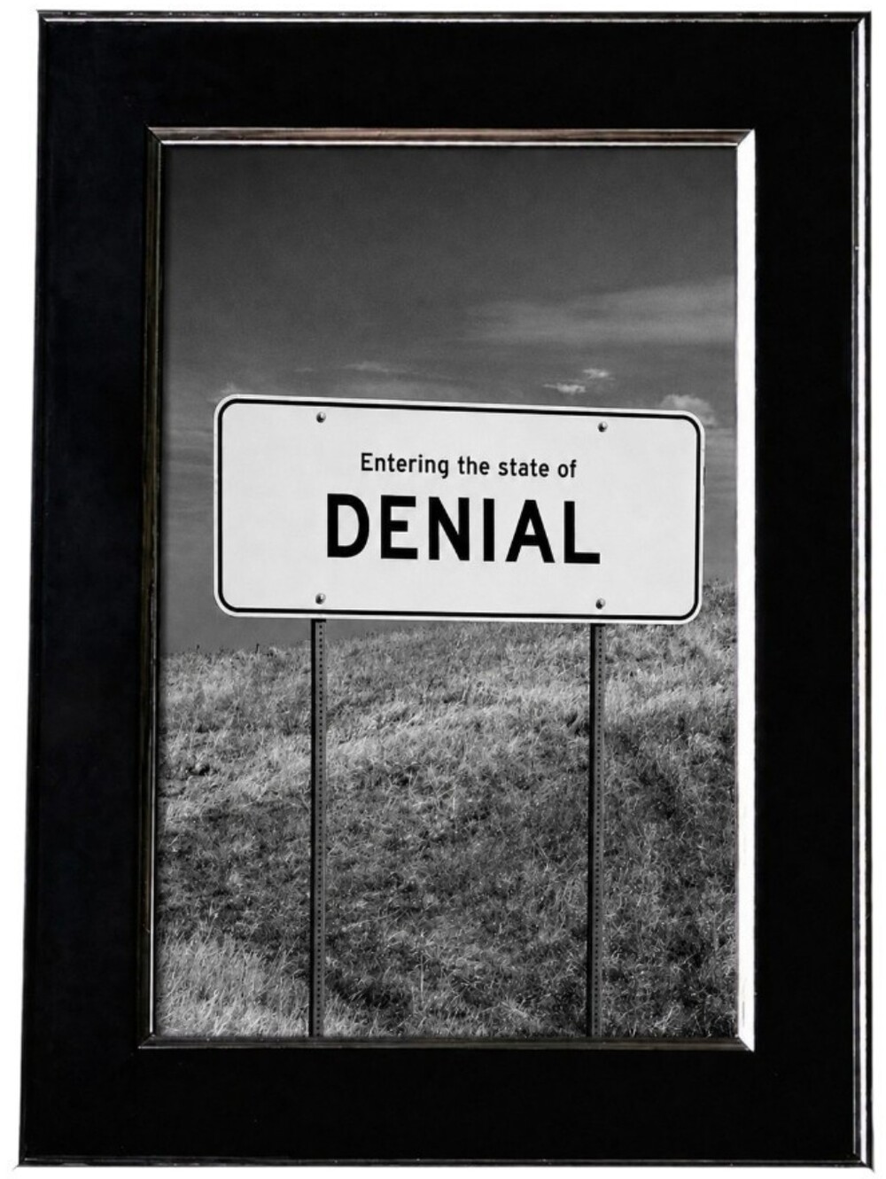 Entering the state of denial road sign frame photo print Art Funny oddity Framed
